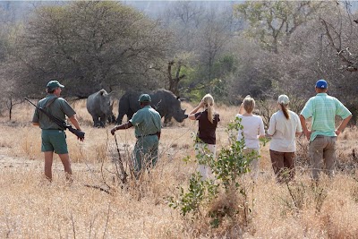 Photos of Rhino Walking Safaris