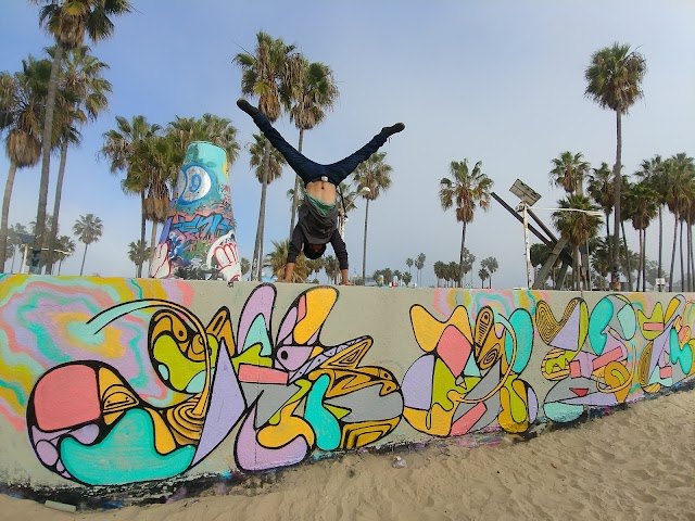 Venice Skate Park