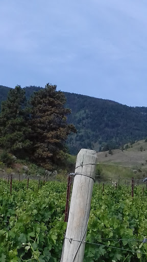 Vinstitute Wine School - Thumbnail