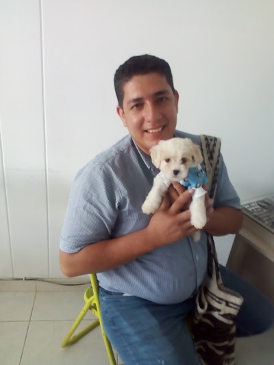 veterinary-care