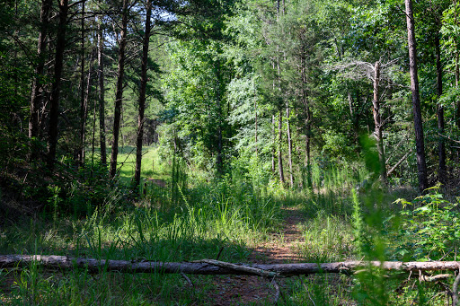 Broad River Wildlife Management Area