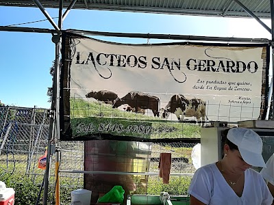 Photos of Feria del Agricultor