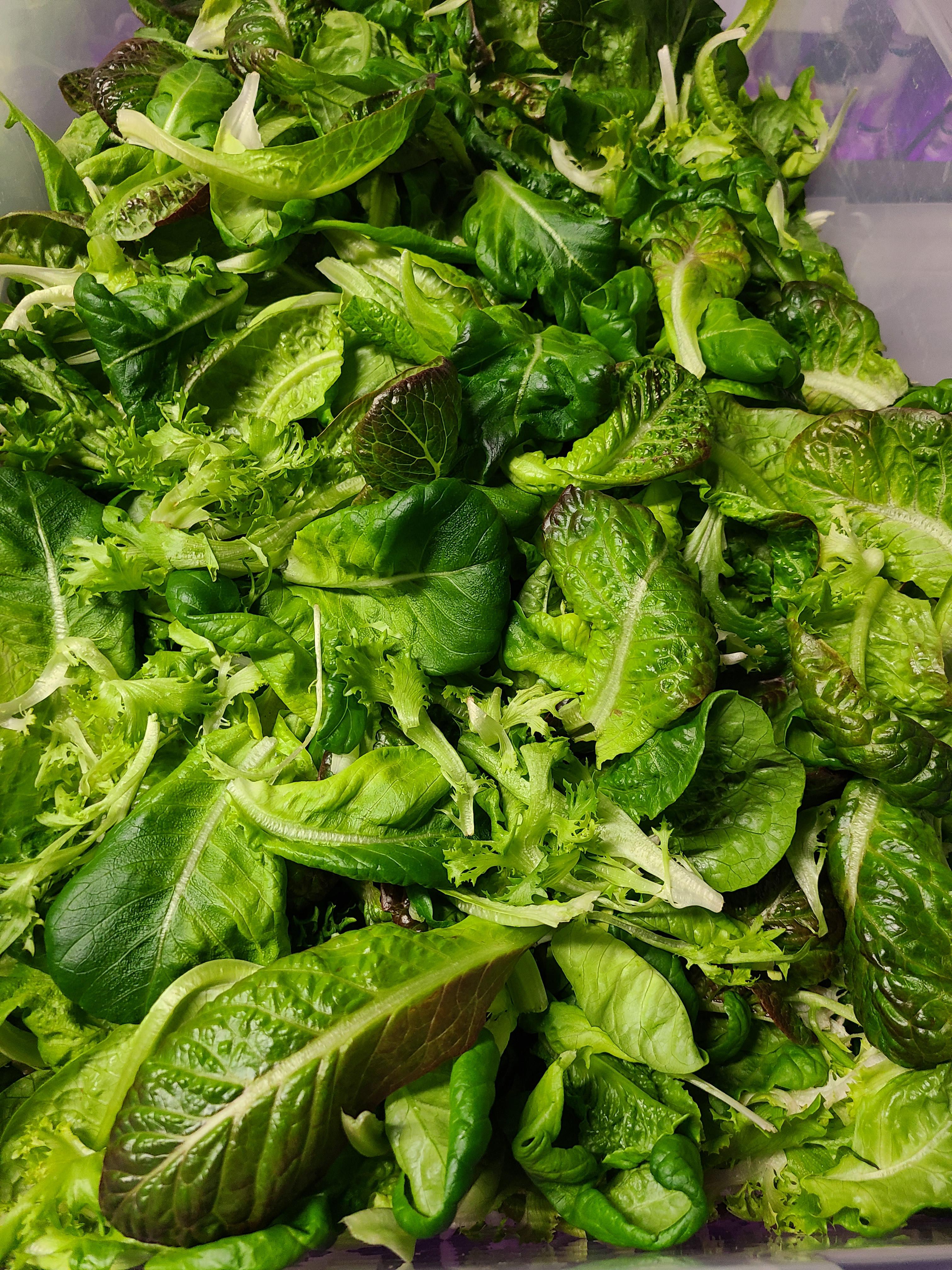 Better Fresh Farms