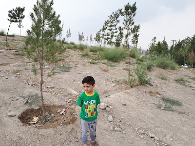 Photos of Rahmatabad Park
