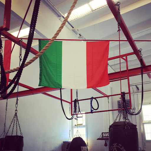 Pro-Fighting Forlì - Visual