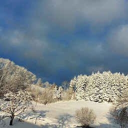 Photo n°13 de Bergerie des Chalots à Girmont-Val-d'Ajol (Éleveur)