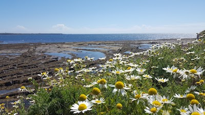 Photos of Scarlett Visitor Centre
