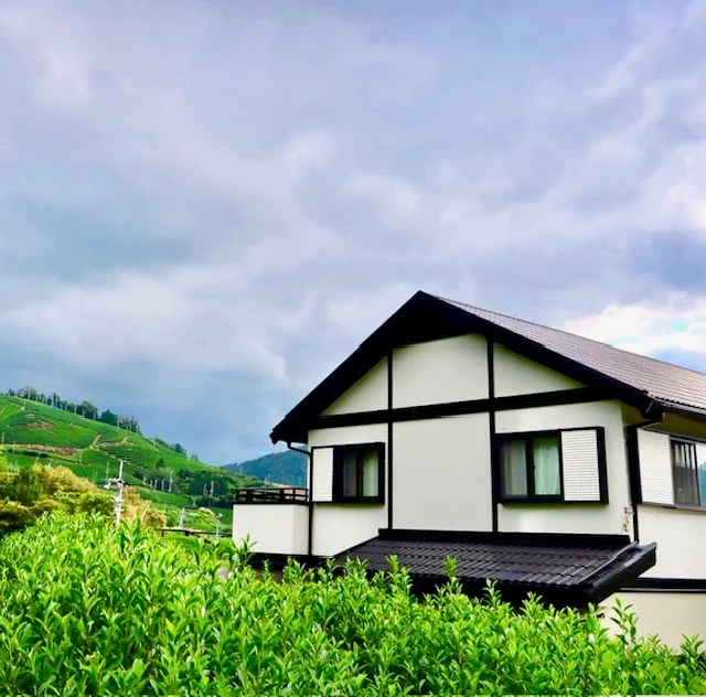 Blodge Lodge -private guesthouse and tours