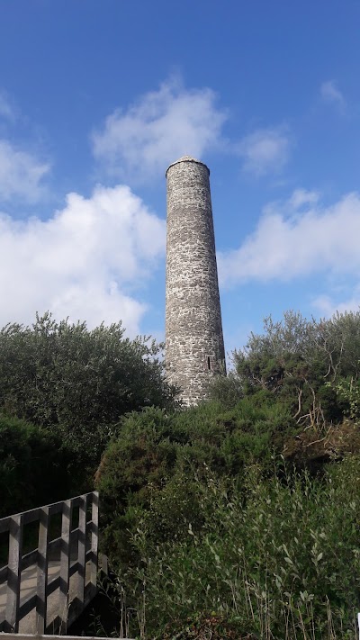 Photos of Ferrycarrig (Heritage Park)