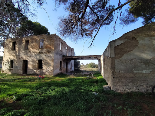 Casino Bassi