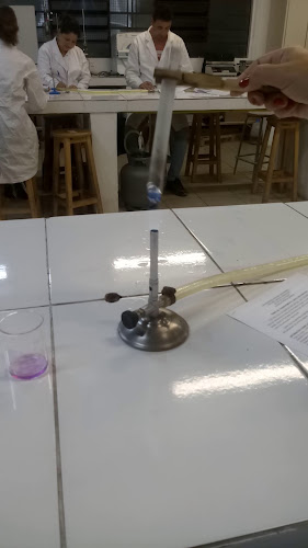Avaliações sobre Colégio Estadual Professor Elysio Vianna em Curitiba - Escola