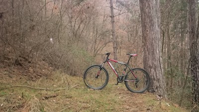Photos of Tumbe Kafe hiking resort