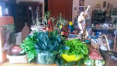 Photos of Ecuravita