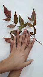 Photo n°20 de Sweet nails à Lyon (Centre de formation)