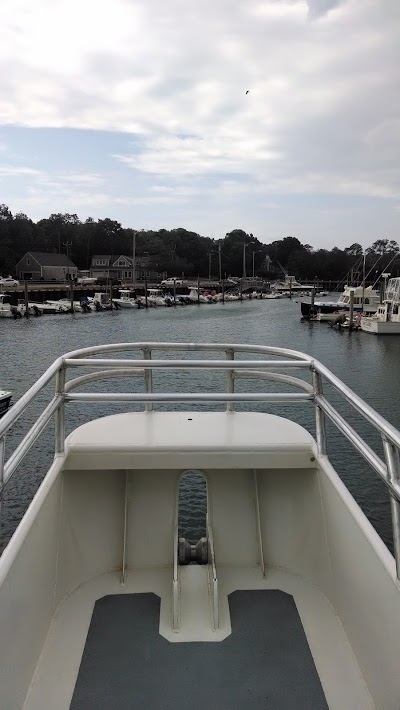 Photos of Hyannis Whale Watcher Cruises
