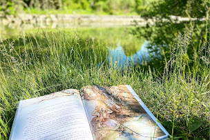 Photo n°7 de Cabanon En Provence à Ampus (Chambre d'hôtes)