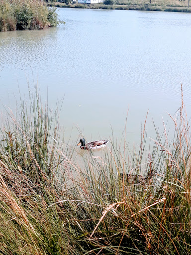 Parc Boum Badaboum - Thumbnail