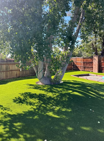 Indy Artificial Turf | Artificial Turf Installer by null