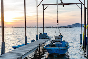 Photo n°8 de La Ferme Marine des Aresquiers à Vic-la-Gardiole (Élevage de fruits de mer)