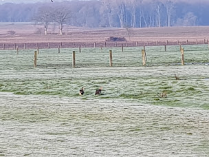 Photo n°10 de friterie point du jour à Azannes-et-Soumazannes (Friterie)