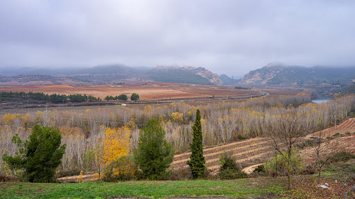 Tobelos Bodegas Y Viñedos - Thumbnail