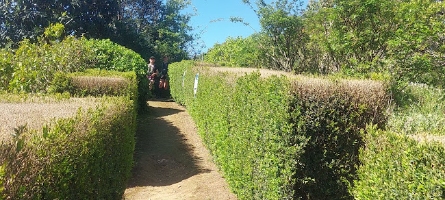 Quinta do Sanguinhal - Wine Tourism - Enoturismo - Bombarral