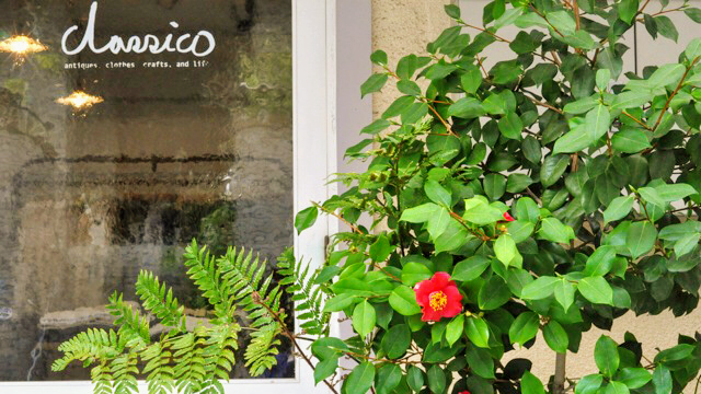 Classico Select Shop by null