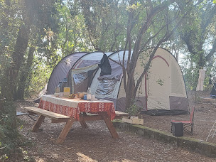 Photo n°1 de L'Ermitage*** Camping & Nature Lacanau à Lacanau (Épicerie)