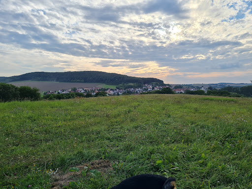 Weißenborn-Lüderode - Visual