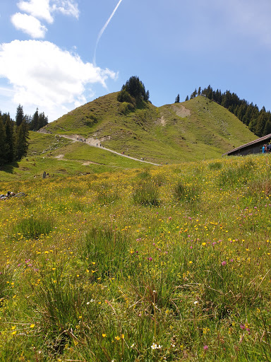 Panorama Stadel - Visual