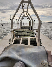 Photo n°28 de LES COQUILLES DU BASSIN à Andernos-les-Bains (Service de livraison)