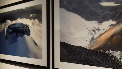 Photos of Galer&iacute;a Animal