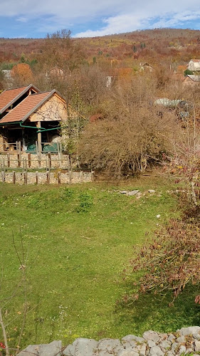 Komentari i recenzije Utočište za medvjede Kuterevo