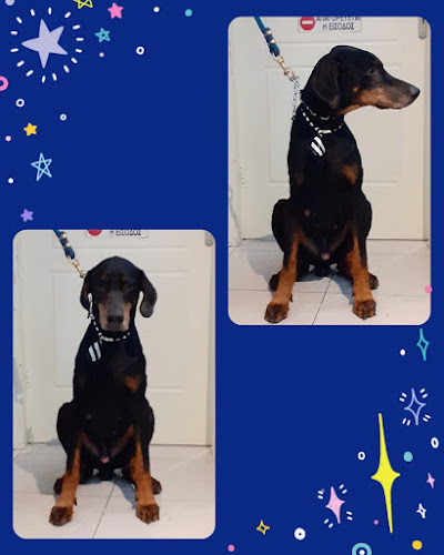 Γυάρου 14, Αργυρούπολη 164 52