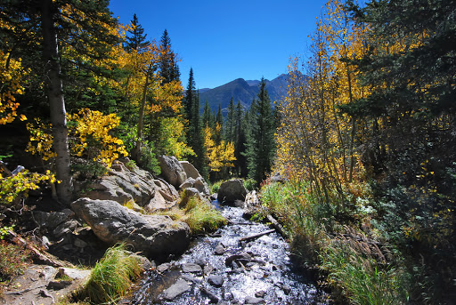 Tom Thomas Realtor at First Colorado Realty - Estes Park - Thumbnail