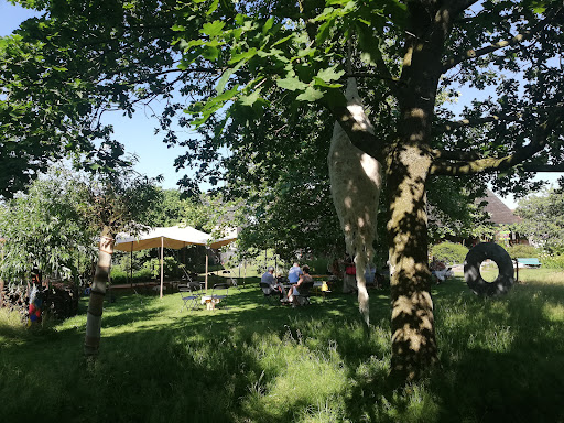 Gallerij Nanda