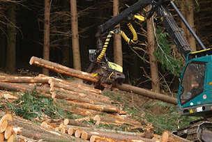 Photo n°18 de Fessy Bois à Saint-Symphorien-de-Lay (Bois)