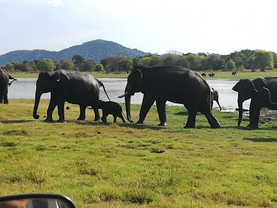 Photos of Ceylon Venez Tours