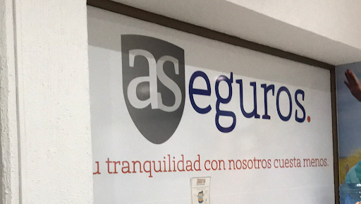 AS Agente de Seguros y de Fianzas SA de CV
