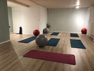 Photo n°2 de Aponie Gym douce, fitball, massage Bien-être, atelier prévention à Troyes (Institut de massages)