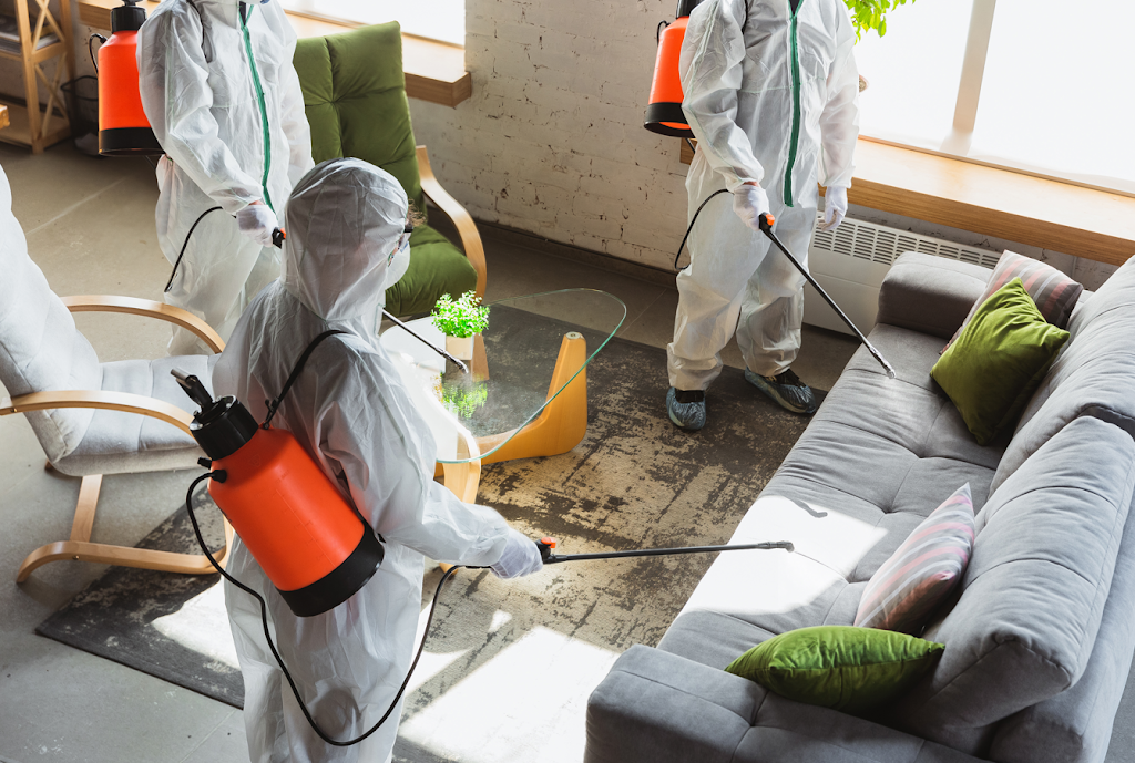 Rock City Water Damage and Mold Remediation photo