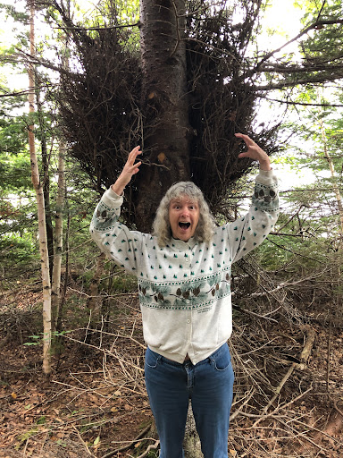 Boylston Provincial Park - Thumbnail