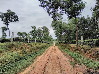 Photos of Lalchand Tea Estate