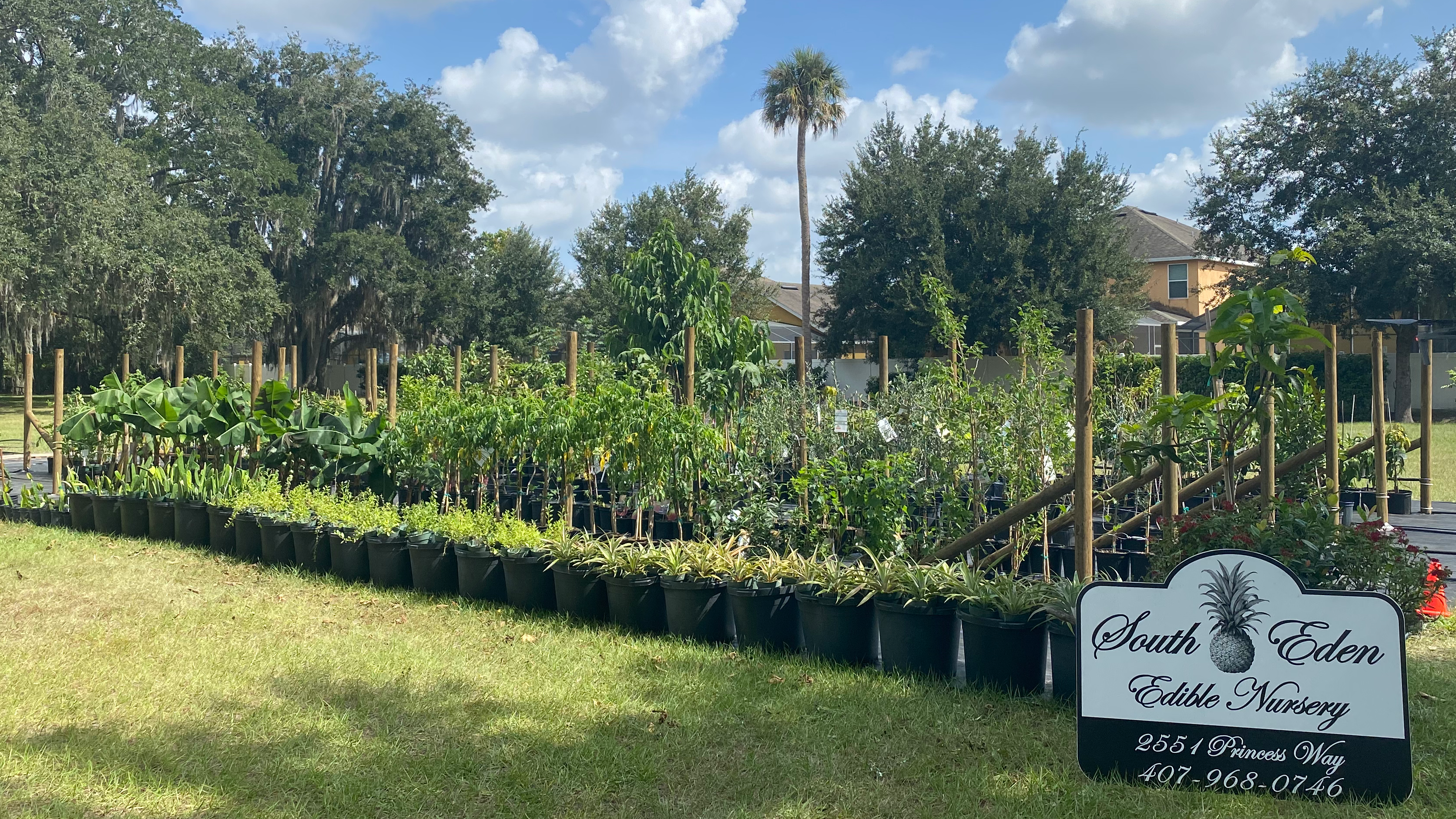 South Eden Edible Nursery
