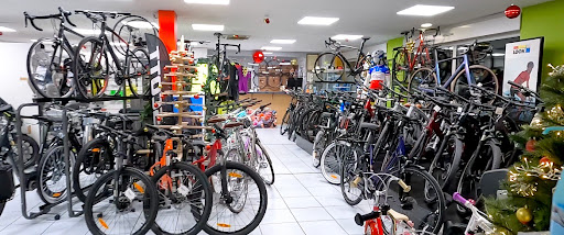 PPS Cycles - Visual