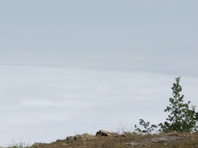 Photos of Jahan Nama Protected Area