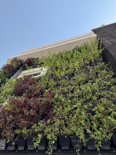 Gallery image 19