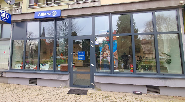 Opinie o Allianz Ubezpieczenia - Placówka Nowy Sącz w Nowy Sącz - Agencja ubezpieczeniowa