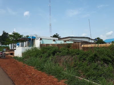 bank