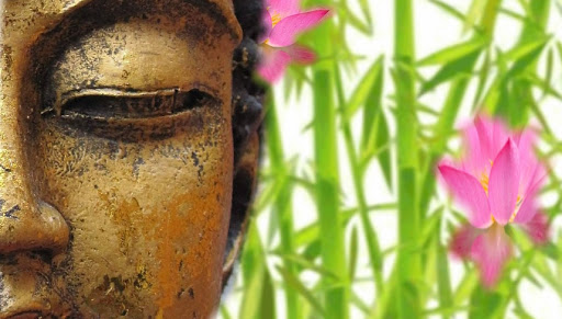 Winchcombe Holistic Therapy